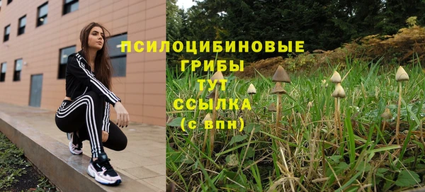 apvp Каменногорск