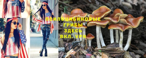 apvp Каменногорск